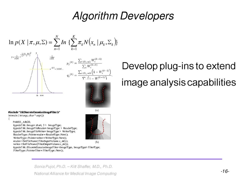 File:3DVisualization SoniaPujol RSNA2009 11-30-2009.pdf