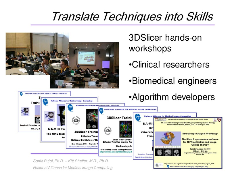 File:3DVisualization SoniaPujol RSNA2009 11-30-2009.pdf