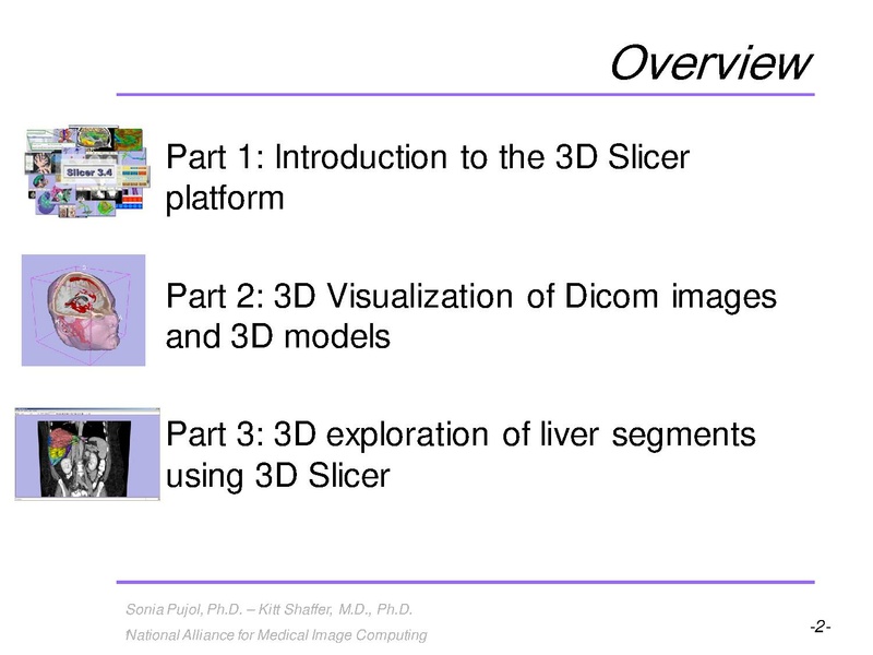 File:3DVisualization SoniaPujol RSNA2009 11-30-2009.pdf