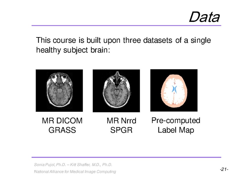 File:3DVisualization SoniaPujol RSNA2009 11-30-2009.pdf
