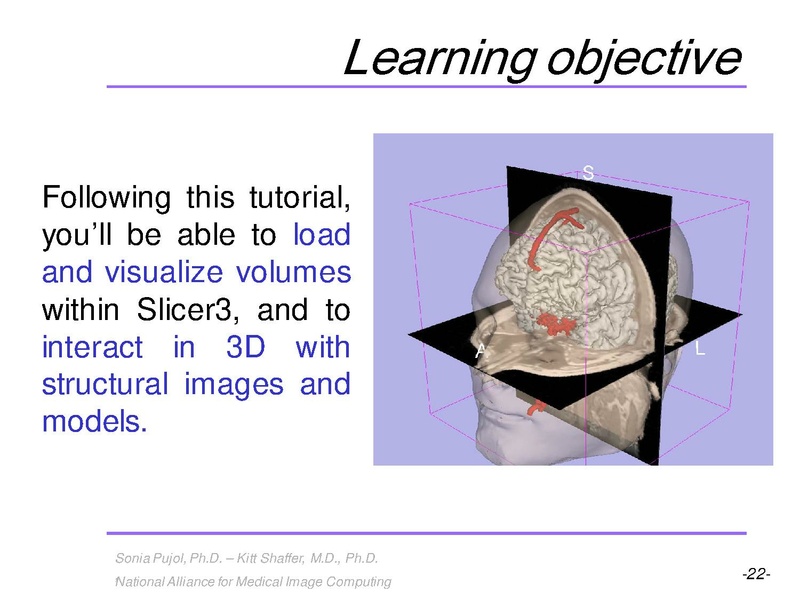 File:3DVisualization SoniaPujol RSNA2009 11-30-2009.pdf