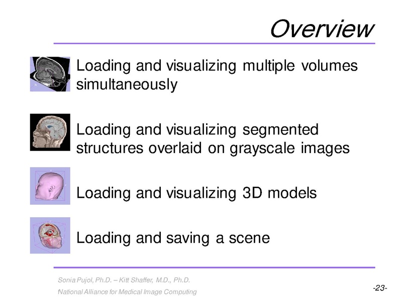 File:3DVisualization SoniaPujol RSNA2009 11-30-2009.pdf