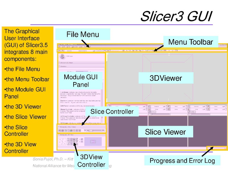 File:3DVisualization SoniaPujol RSNA2009 11-30-2009.pdf