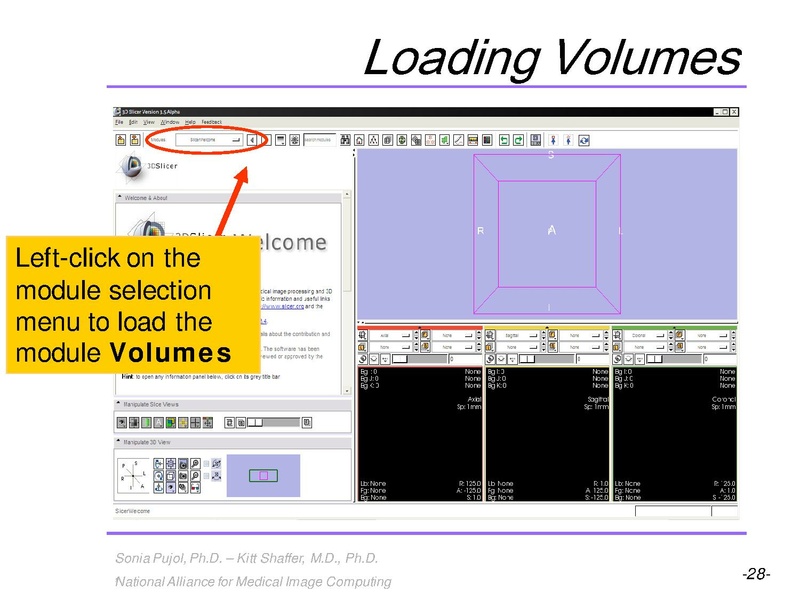 File:3DVisualization SoniaPujol RSNA2009 11-30-2009.pdf