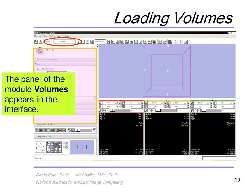 File:3DVisualization SoniaPujol RSNA2009 11-30-2009.pdf