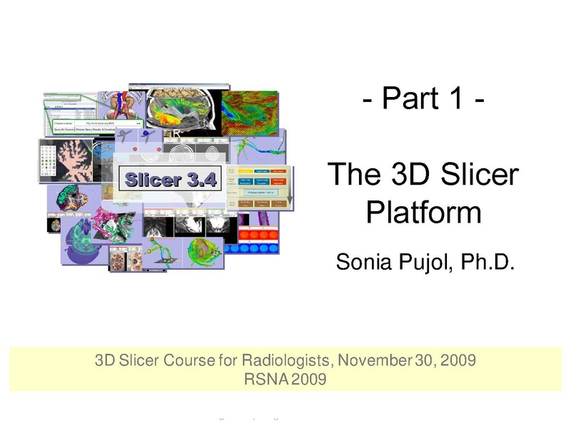 File:3DVisualization SoniaPujol RSNA2009 11-30-2009.pdf