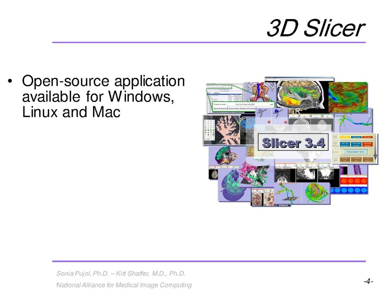 File:3DVisualization SoniaPujol RSNA2009 11-30-2009.pdf
