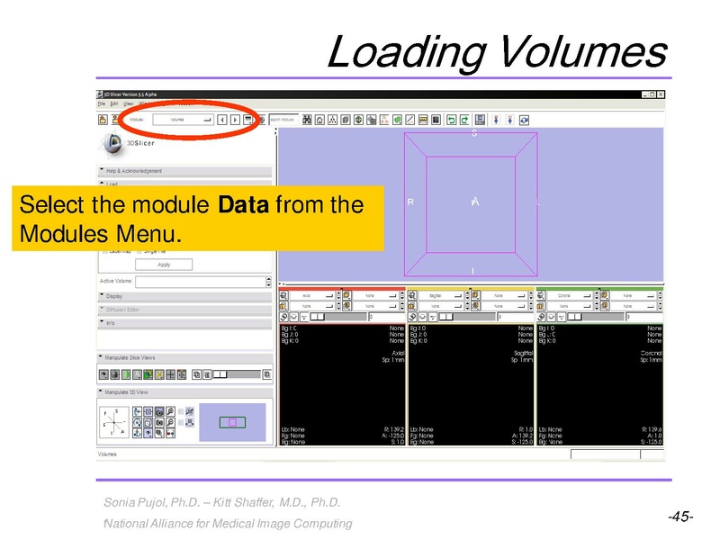 File:3DVisualization SoniaPujol RSNA2009 11-30-2009.pdf
