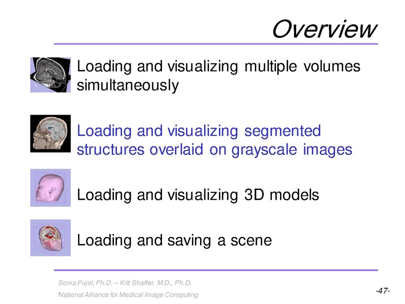 File:3DVisualization SoniaPujol RSNA2009 11-30-2009.pdf