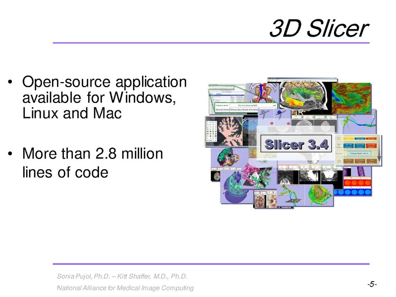 File:3DVisualization SoniaPujol RSNA2009 11-30-2009.pdf