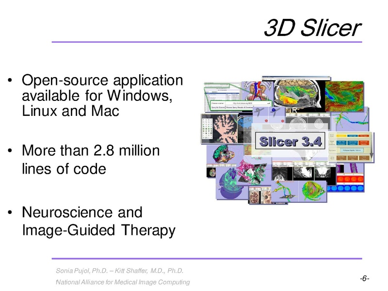 File:3DVisualization SoniaPujol RSNA2009 11-30-2009.pdf