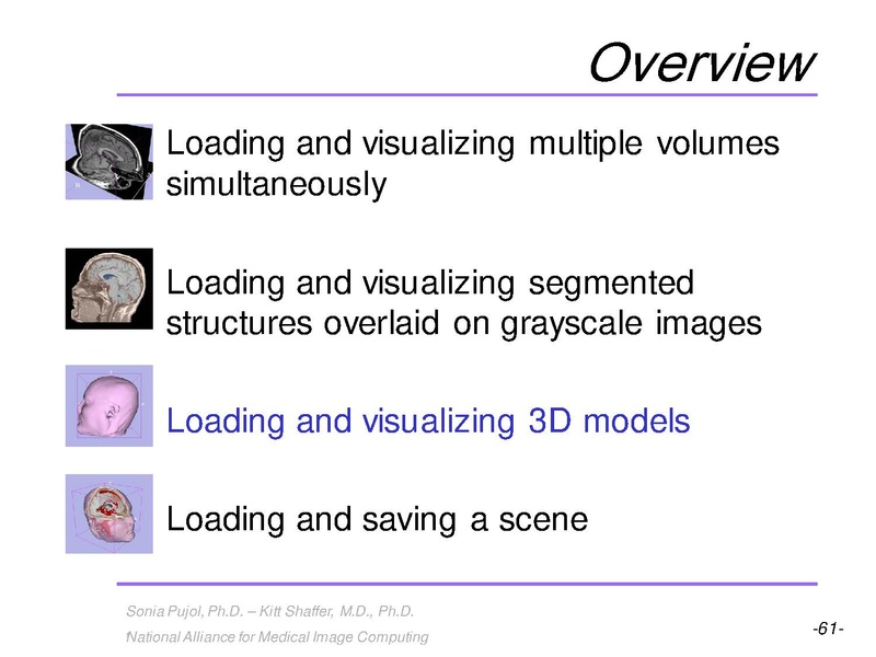 File:3DVisualization SoniaPujol RSNA2009 11-30-2009.pdf