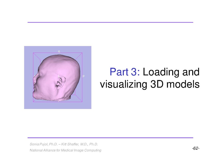 File:3DVisualization SoniaPujol RSNA2009 11-30-2009.pdf