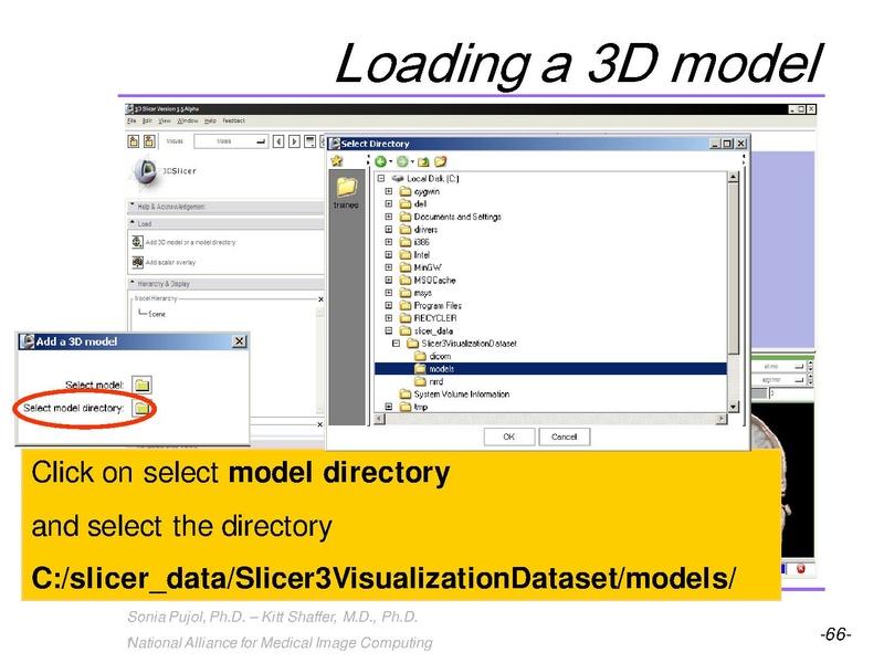 File:3DVisualization SoniaPujol RSNA2009 11-30-2009.pdf