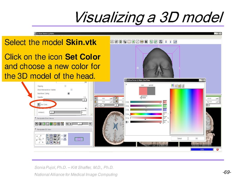File:3DVisualization SoniaPujol RSNA2009 11-30-2009.pdf