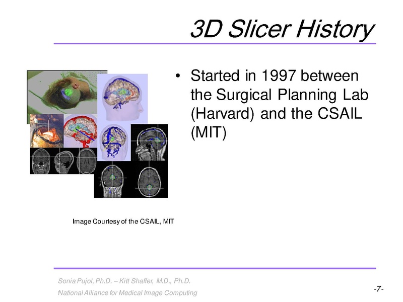File:3DVisualization SoniaPujol RSNA2009 11-30-2009.pdf