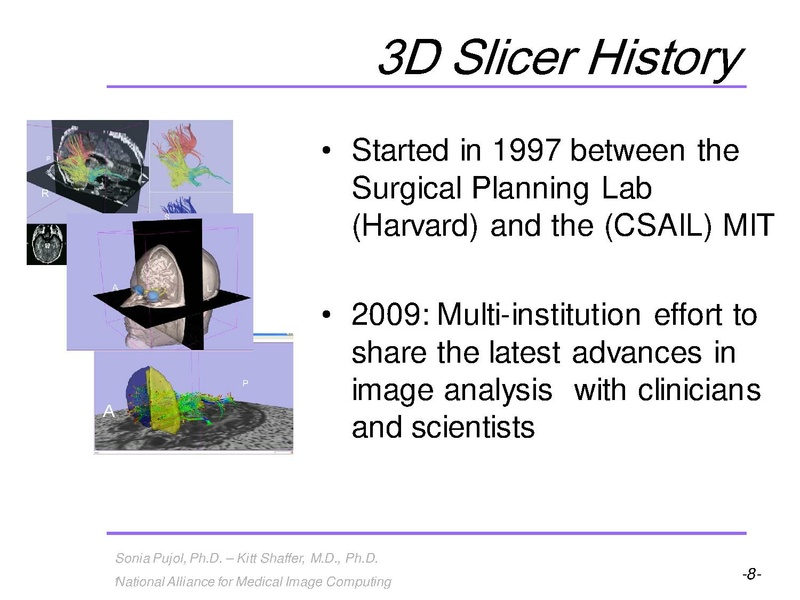 File:3DVisualization SoniaPujol RSNA2009 11-30-2009.pdf