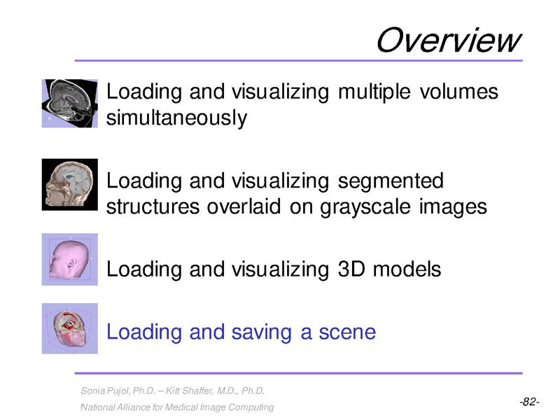 File:3DVisualization SoniaPujol RSNA2009 11-30-2009.pdf