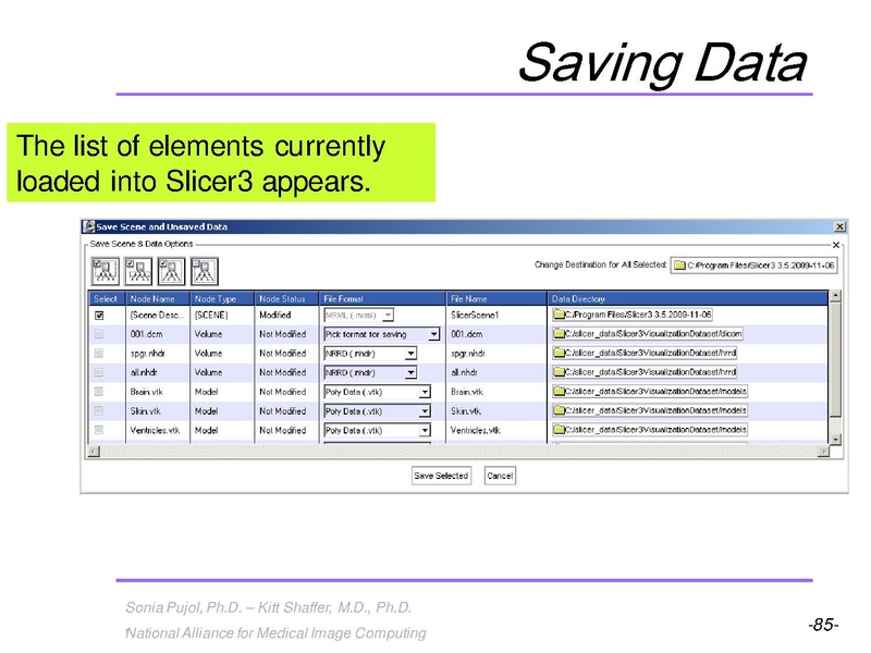 File:3DVisualization SoniaPujol RSNA2009 11-30-2009.pdf