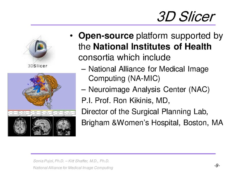 File:3DVisualization SoniaPujol RSNA2009 11-30-2009.pdf