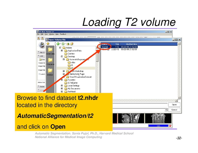 File:AutomaticSegmentation SoniaPujol.pdf