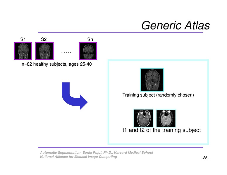 File:AutomaticSegmentation SoniaPujol.pdf