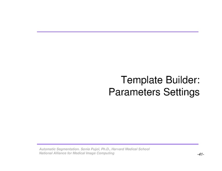 File:AutomaticSegmentation SoniaPujol.pdf