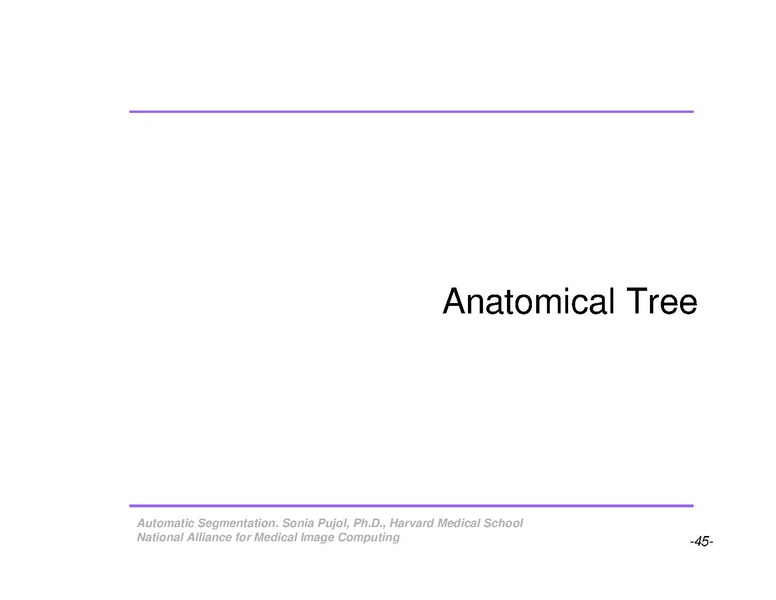 File:AutomaticSegmentation SoniaPujol.pdf