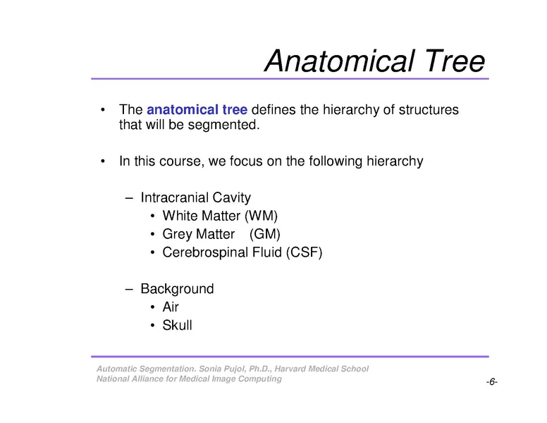 File:AutomaticSegmentation SoniaPujol.pdf