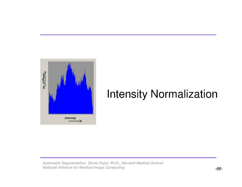 File:AutomaticSegmentation SoniaPujol.pdf