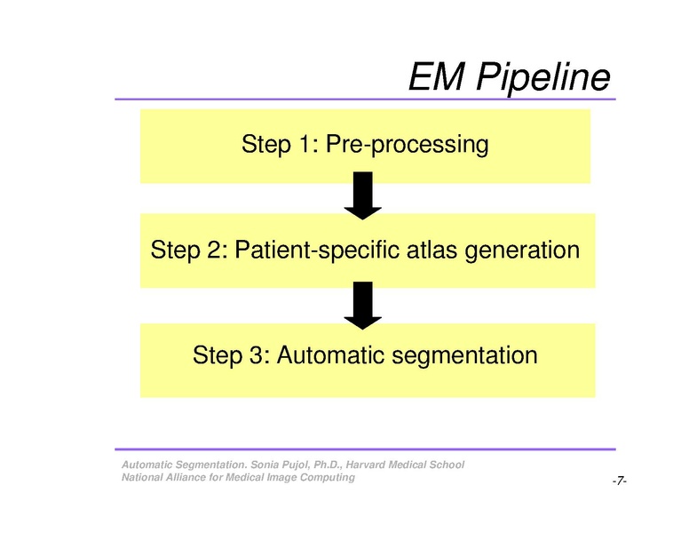 File:AutomaticSegmentation SoniaPujol.pdf
