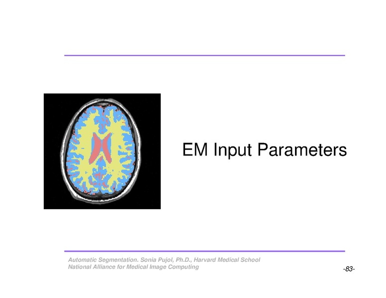 File:AutomaticSegmentation SoniaPujol.pdf