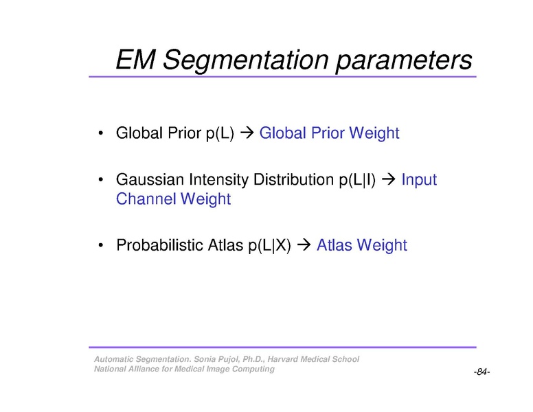 File:AutomaticSegmentation SoniaPujol.pdf