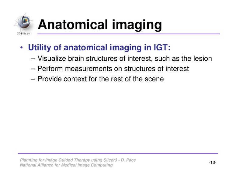 File:ImageGuidedTherapyPlanning.pdf