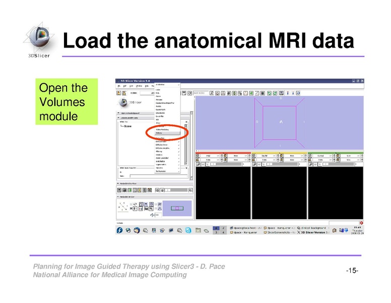 File:ImageGuidedTherapyPlanning.pdf