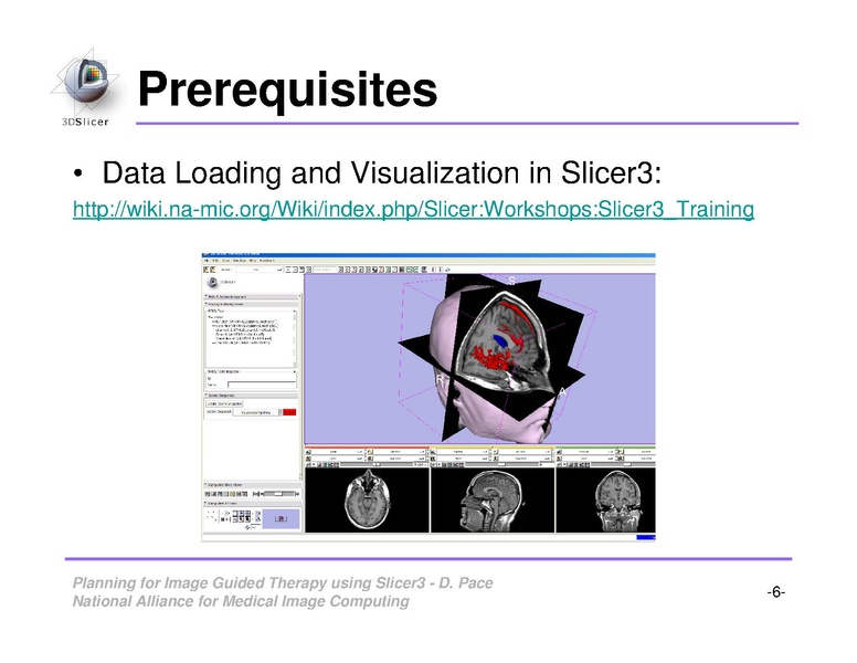 File:ImageGuidedTherapyPlanning.pdf