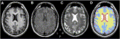 Thumbnail for version as of 17:54, 4 September 2013