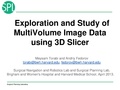 MultiVolumeExplorer Meysam SNR-April2013-v3.pdf