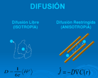 Anisotropia e isotropia 