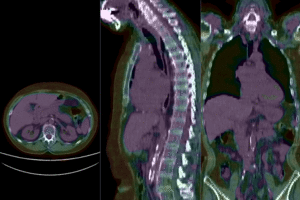 RegLib C20 registered2.gif