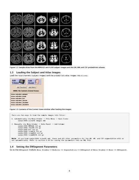 File:Training EMLocalSegment v1.pdf
