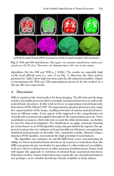File:Akselrod-ballin-mj.pdf