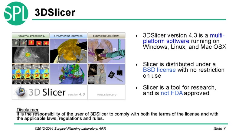 File:3DVisualizationDICOM SoniaPujol.pdf