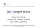 Thumbnail for version as of 18:21, 9 December 2011