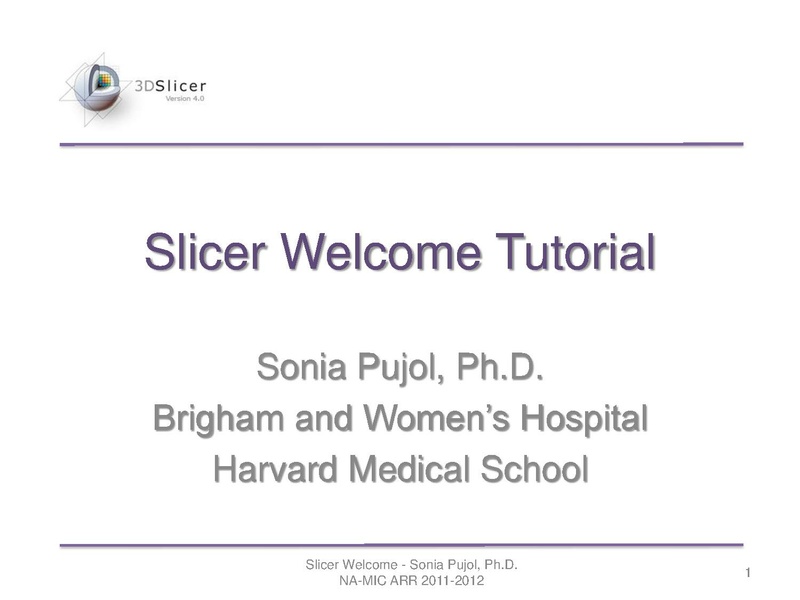 File:SlicerWelcome-tutorial SoniaPujol-mj.pdf
