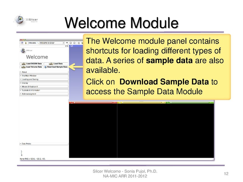 File:SlicerWelcome-tutorial SoniaPujol-mj.pdf