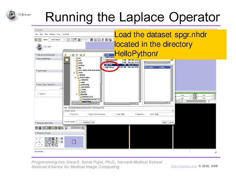 File:ProgrammingIntoSlicer3.6.1 HelloPython MICCAI2010 SoniaPujol.pdf