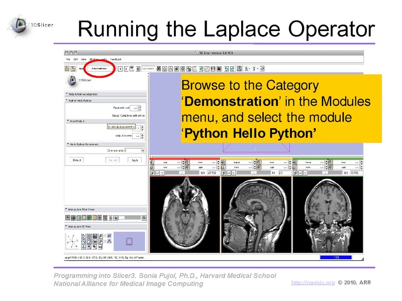 File:ProgrammingIntoSlicer3.6.1 HelloPython MICCAI2010 SoniaPujol.pdf