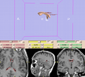 Thumbnail for version as of 13:45, 4 May 2011