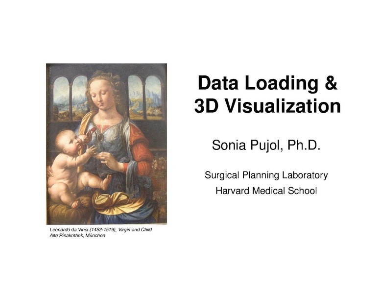 File:Slicer3Course DataLoadingAndVisualization SoniaPujol.pdf